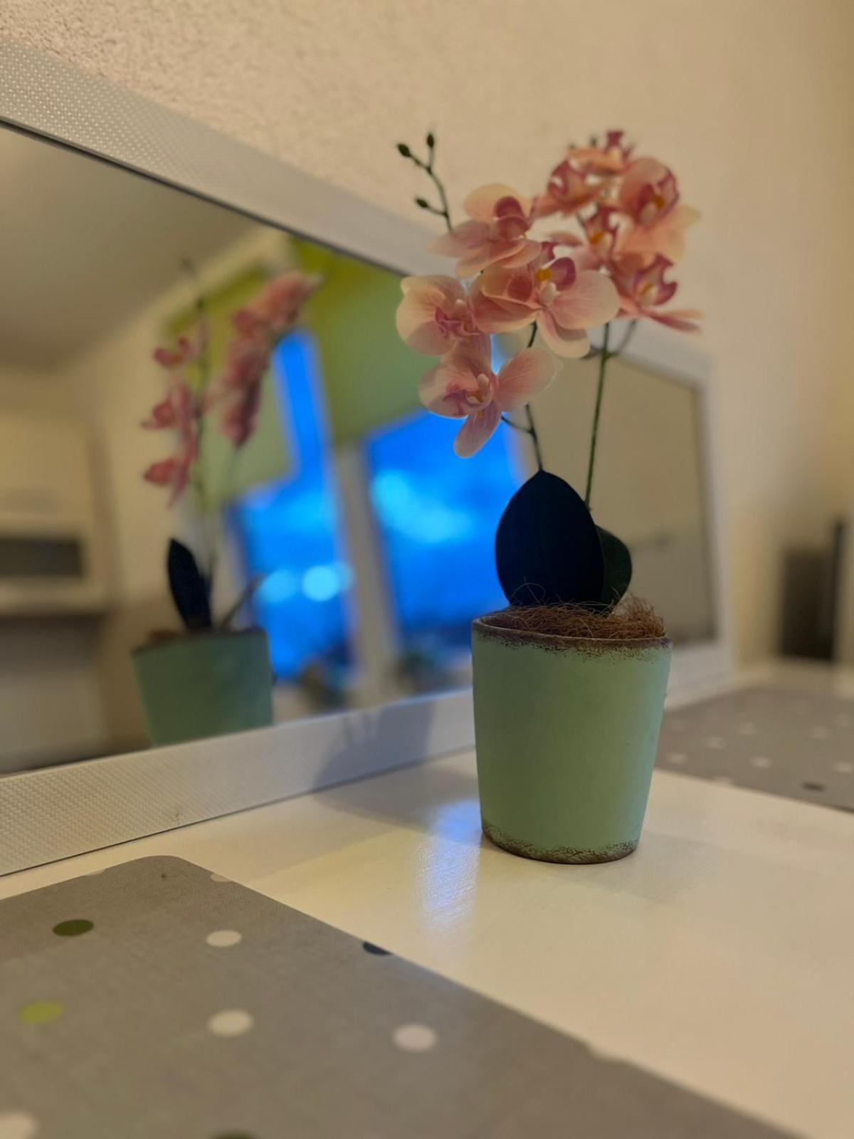 Lovely Apartment In Old Town 400M From City Center Sebilj Szarajevó Kültér fotó