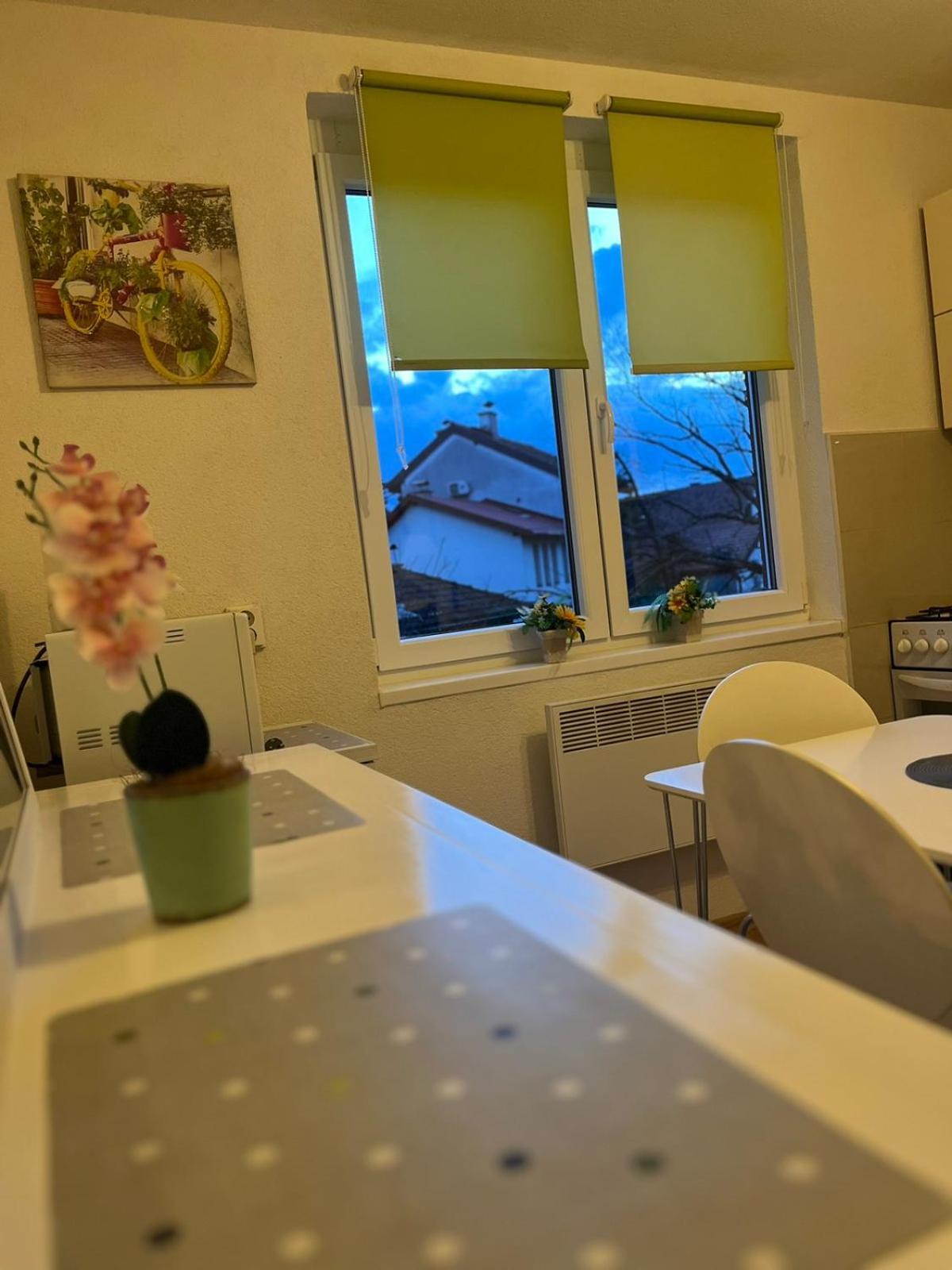 Lovely Apartment In Old Town 400M From City Center Sebilj Szarajevó Kültér fotó